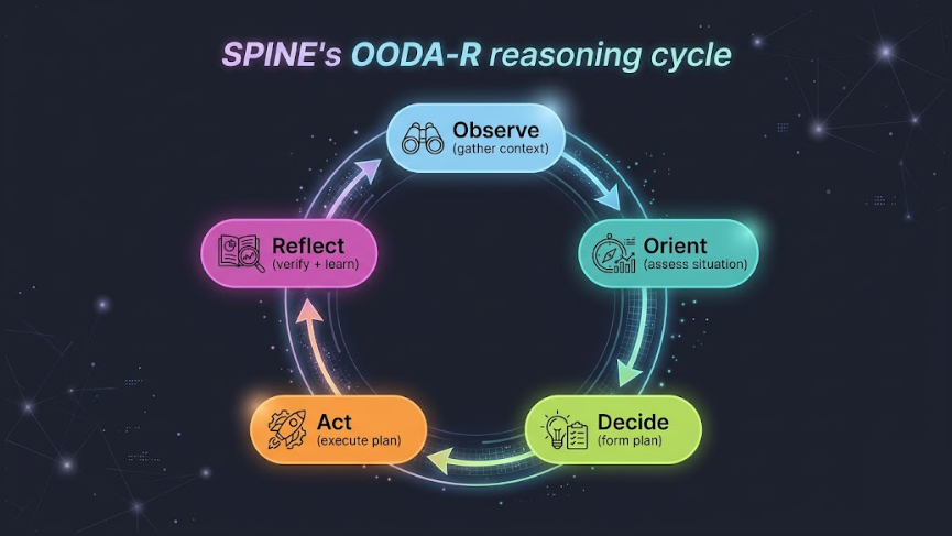 SPINE's OODA-R reasoning cycle